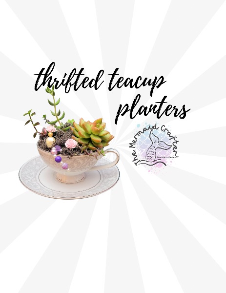 Thrifted Teacup Succulent Planters