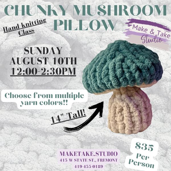 Chunky Mushroom Pillow-Beginner Handknitting Class