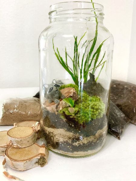 Build Your Own Terrarium