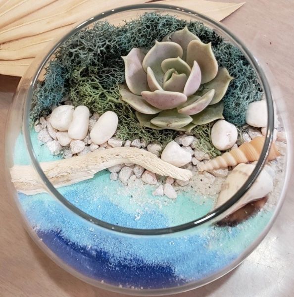 Sprout and Shine Terrarium Class (Vernon)