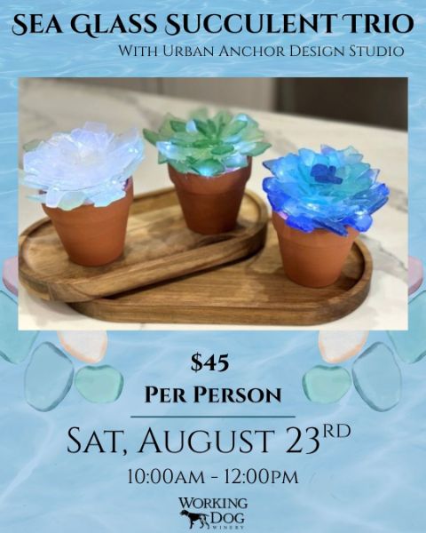 Sea Glass Succulent Trio