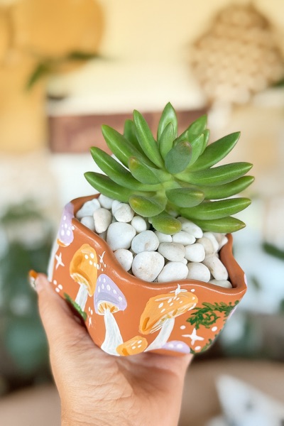 Painted Pot & Plant Craft Party