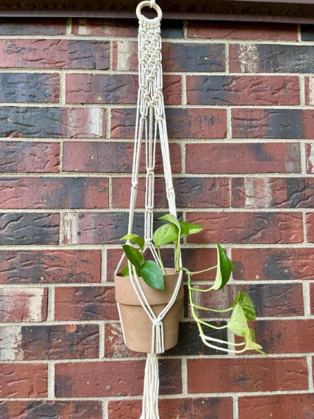 DIY Macramé Plant Hanger DIY Macramé Plant Hanger