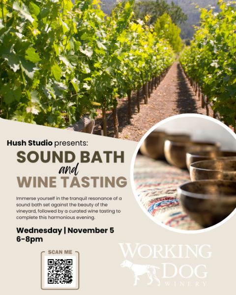 Sound Bath & Wine Tasting at the Vineyard Sound Bath & Wine Tasting at the Vineyard