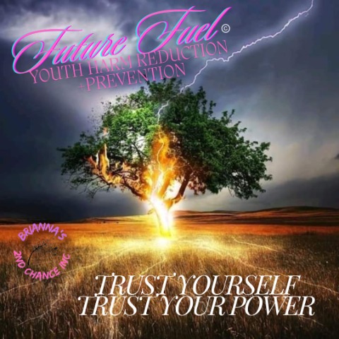 Brianna's 2nd Chance Inc