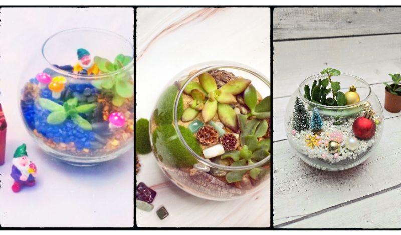 Make Your Own Terrarium - The Fox Restaurant & Brewery - Reno Make Your Own Terrarium - The Fox Restaurant & Brewery - Reno