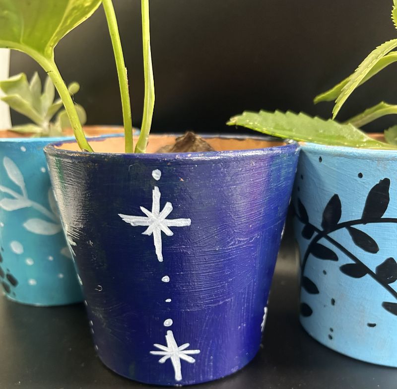 Painting terracotta pots (plant included)