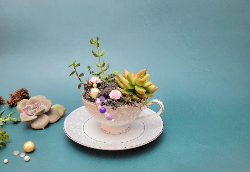 Tea Cup Planters- Pinon Coffee House on 4th St.