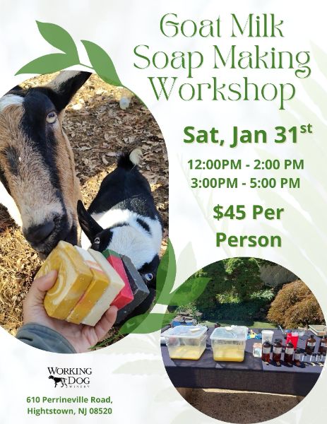 Goat Milk Soap Making Workshop Goat Milk Soap Making Workshop