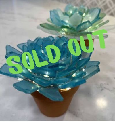 DIY Light-up Succulents