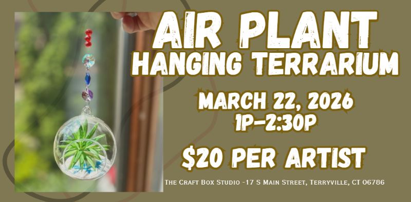 Air Plant Hanging Terrarium