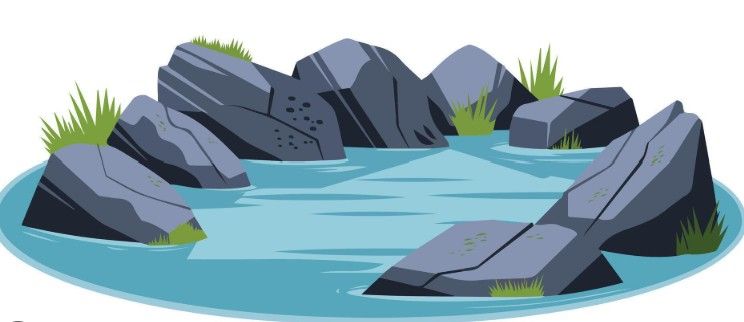 Farm Animals, Wildlife & Water (Aug 3 - 7)