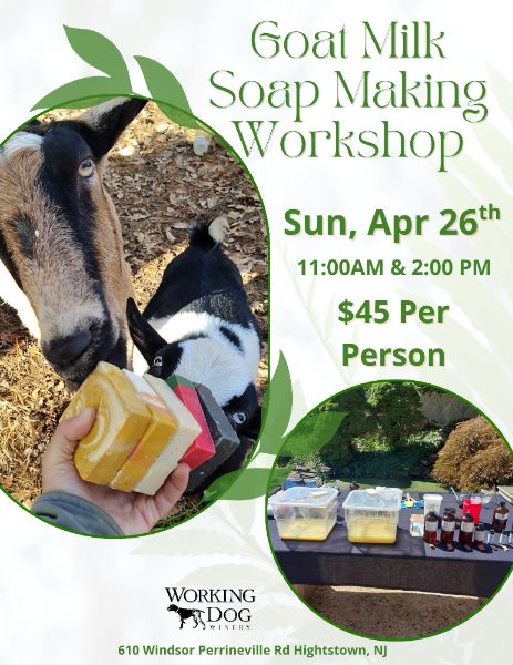 Goat Milk Soap Making Workshop at Working Dog Winery Goat Milk Soap Making Workshop at Working Dog Winery
