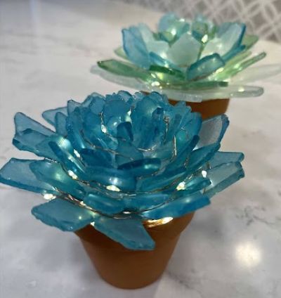 DIY Light-up Succulents