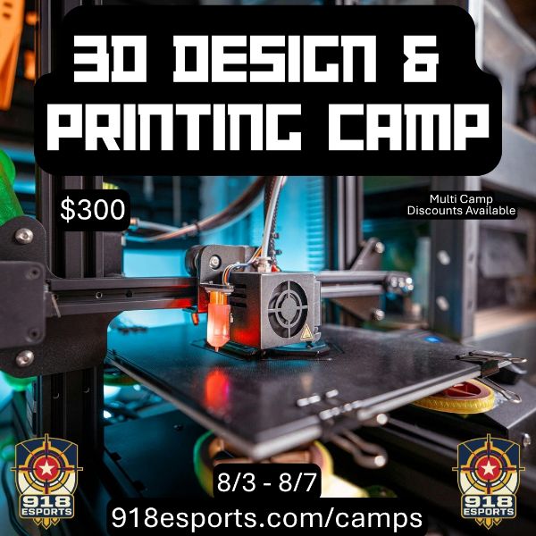 3D Design & Printing Camp
