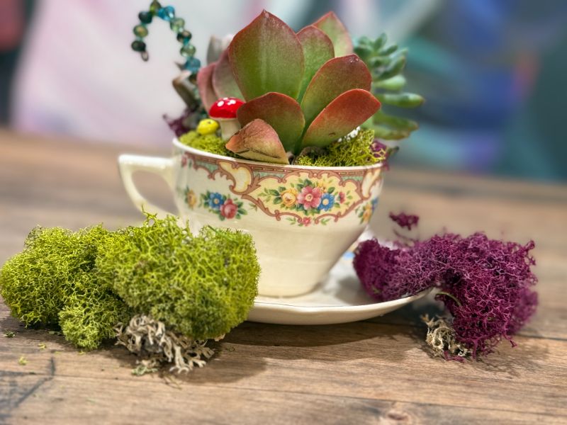 CRAFT CLUB-Tea Cup Succulent Class