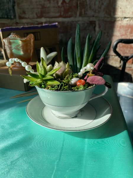 5/17 Aimee's Teacup Planter Craft Party