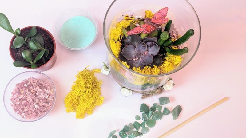 Terrarium Bar- Community Event at High Altitude Wellness!