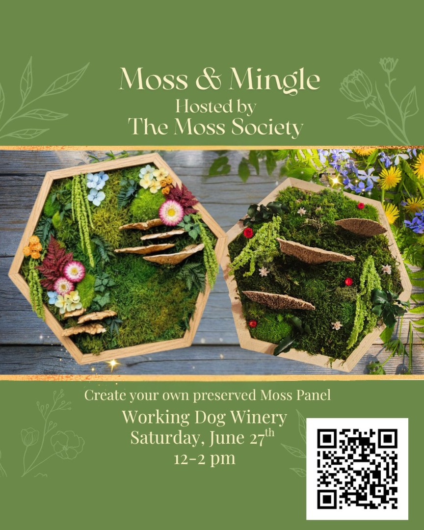 Moss and Mingle