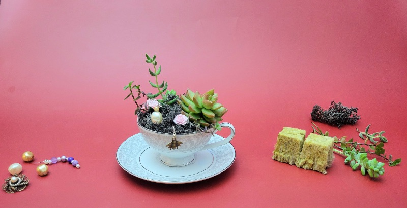 Make Your Own Teacup Succulent Garden at Pudding - Adults Only