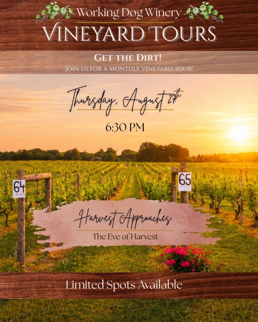 Harvest Approaches: The Eve of Harvest Vineyard Tours