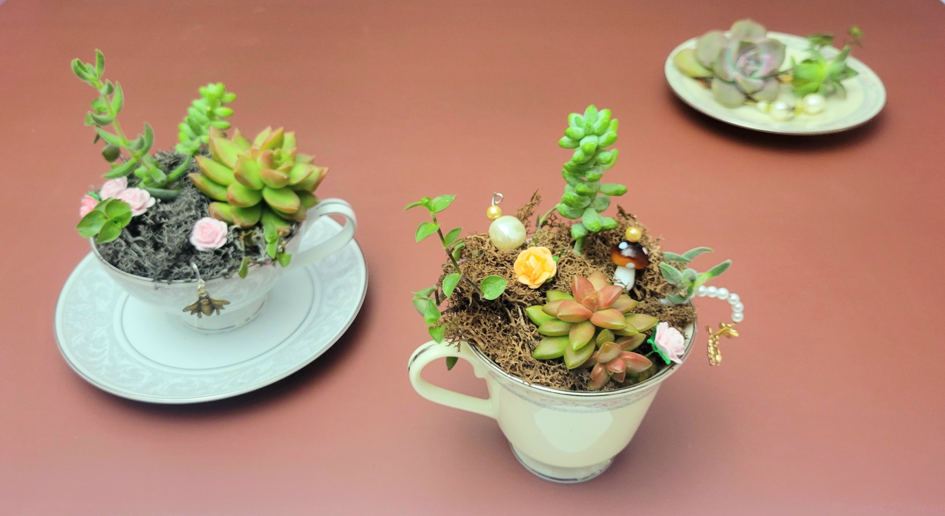 Make Your Own Teacup Succulent Gardens Together at Pudding!