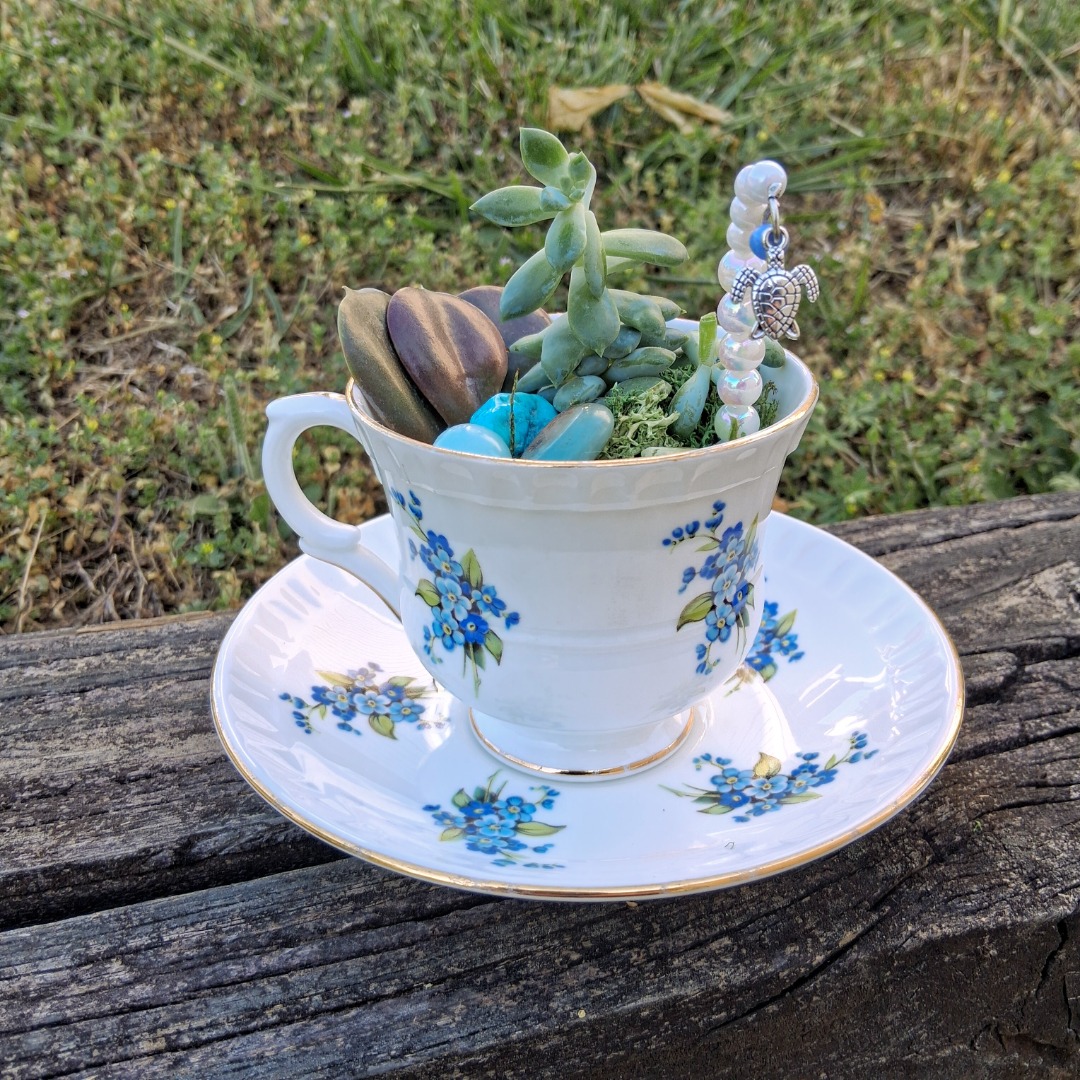 Teacup Terrariums