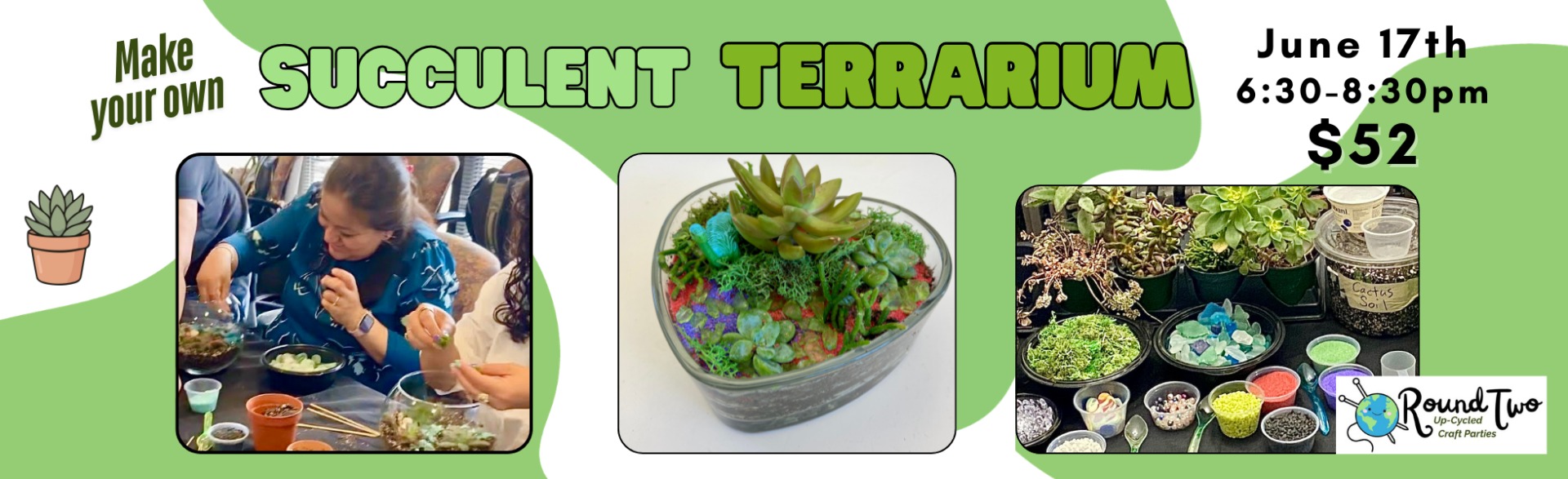 Succulent Terrariums