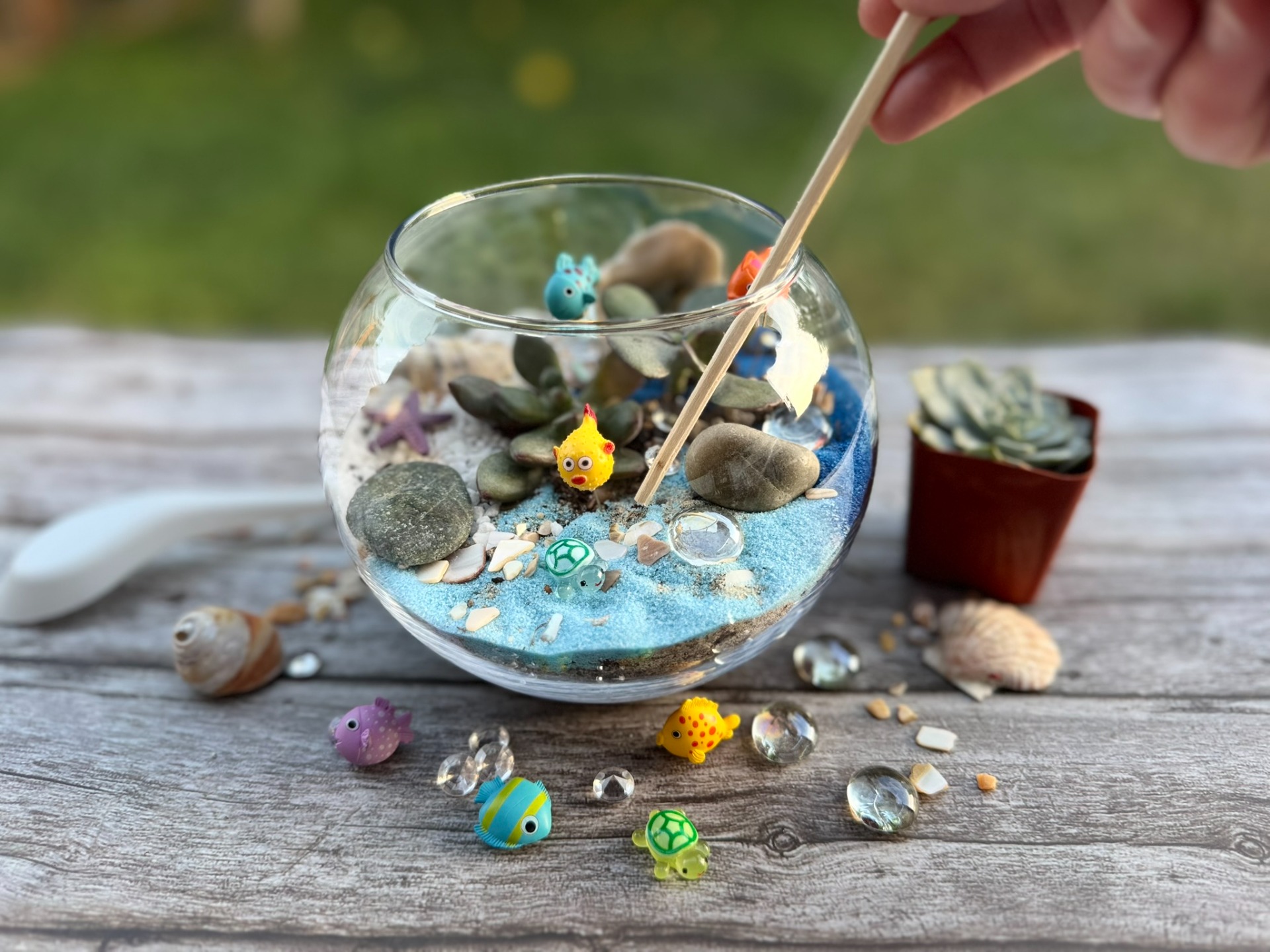 Under the Sea Terrariums Workshop
