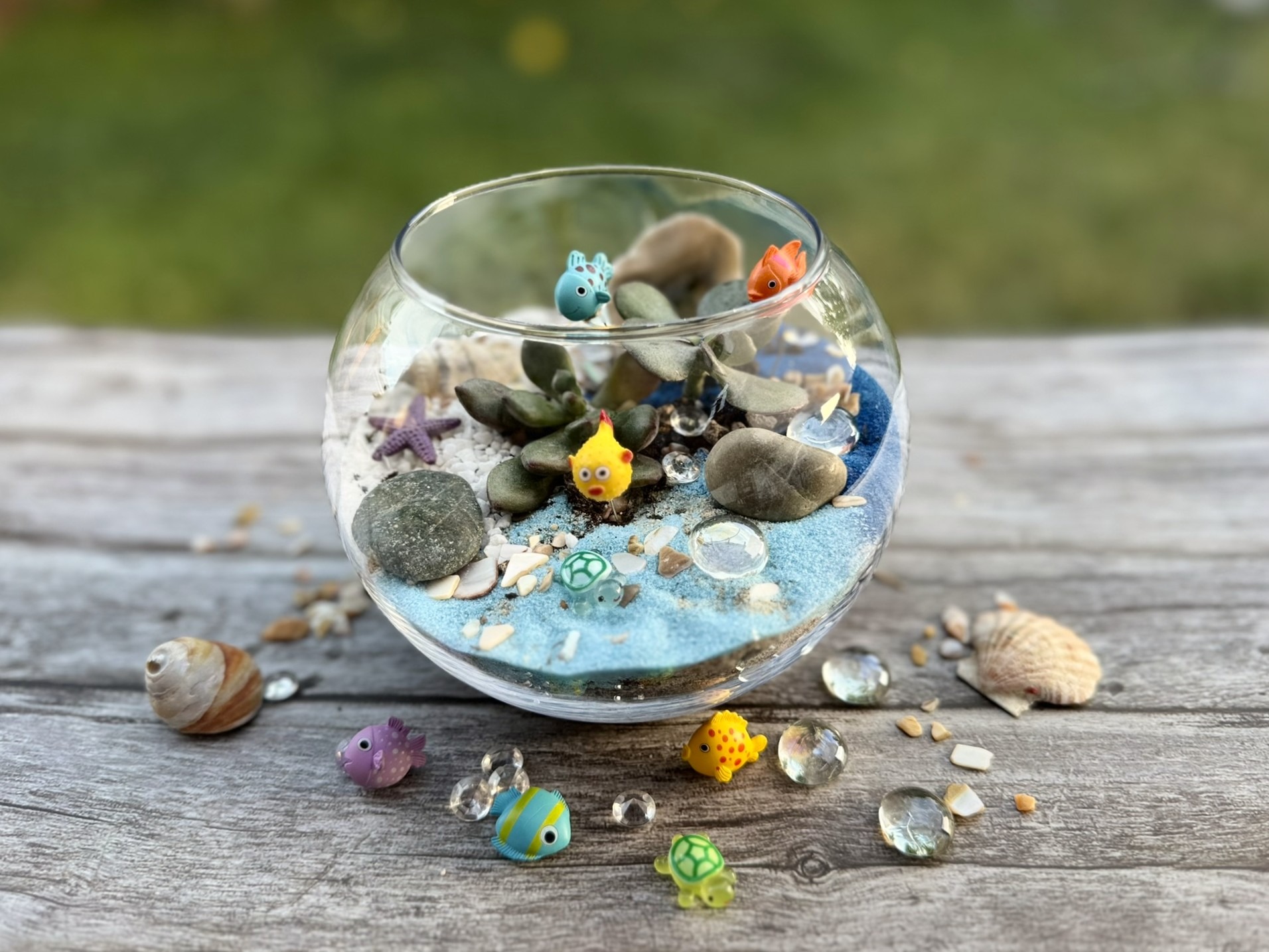 Under the Sea Terrariums Workshop