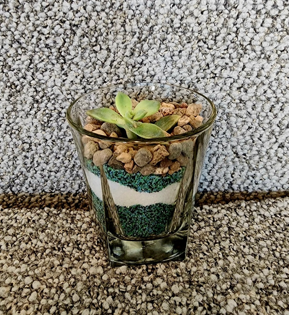 Family night- Mini Sand Art Terrariums