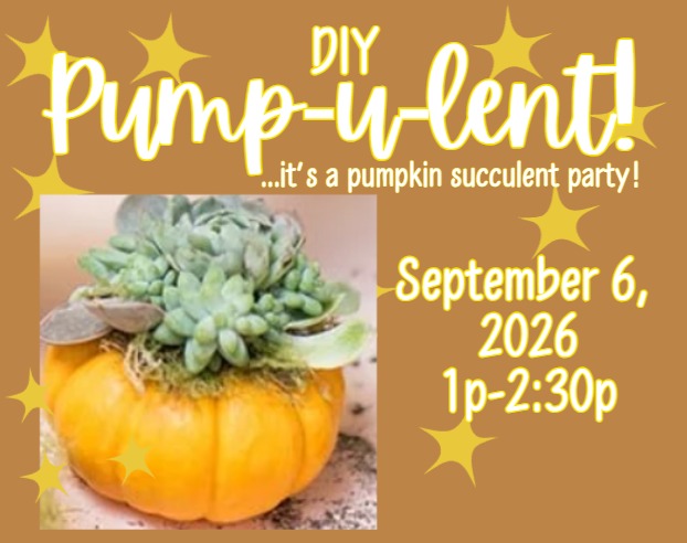 Pump-u-lent! - *A Pumpkin Succulent Workshop*