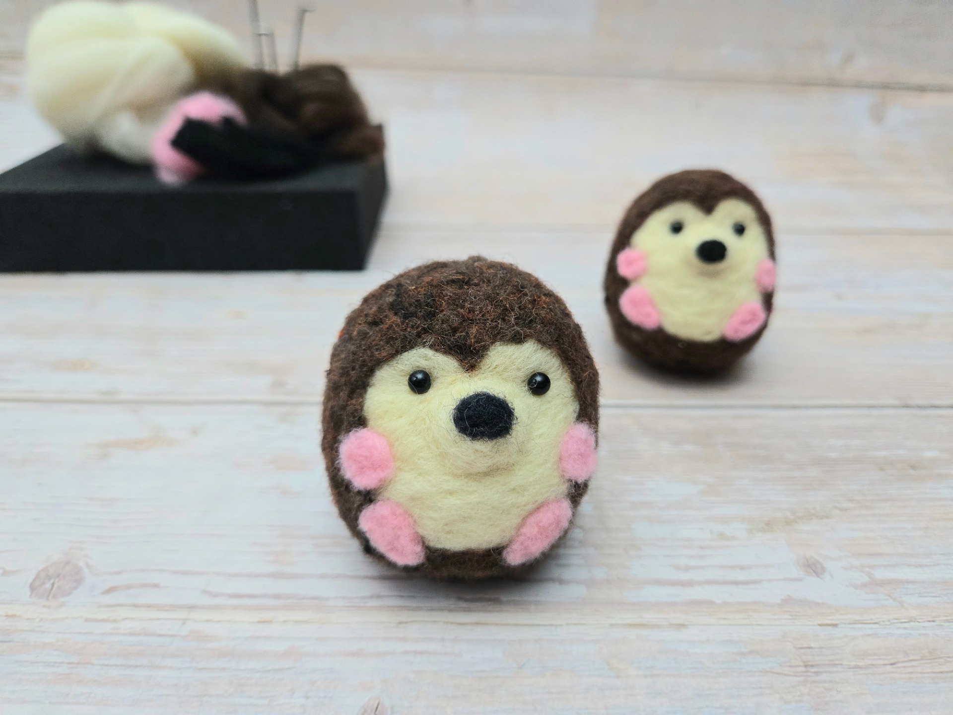 9/12 Needle Felted Hedgehogs Craft Party at The Local Vine