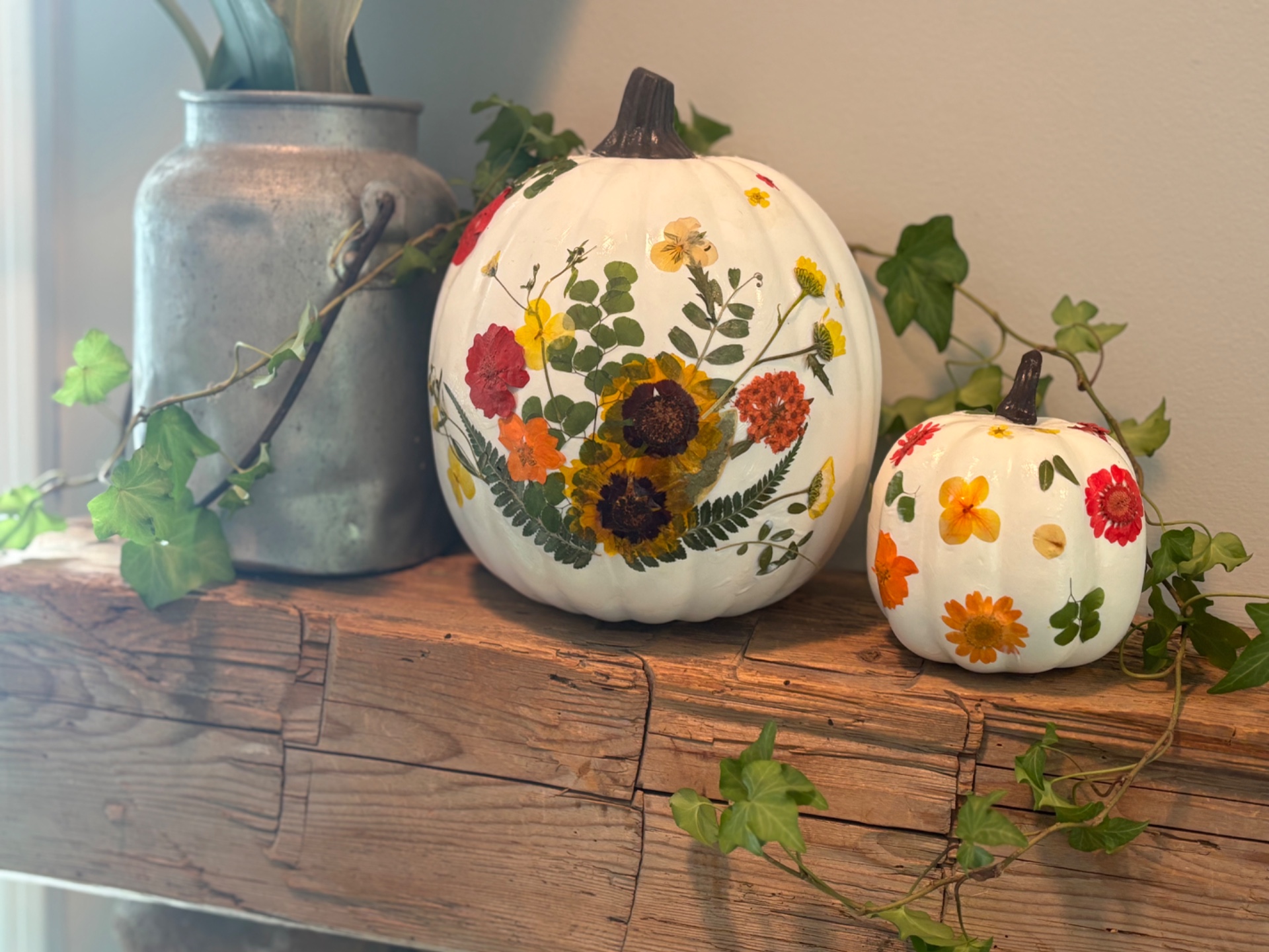 Pressed Flower Pumpkins Craft and Sip Pressed Flower Pumpkins Craft and Sip