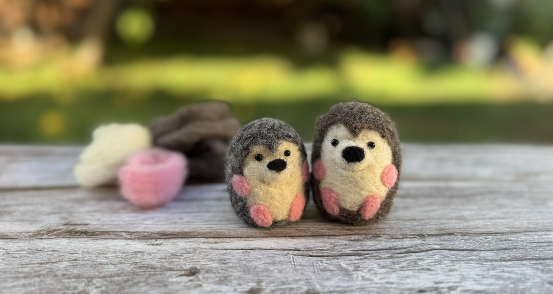 Needle-Felted Hedgehog Workshop