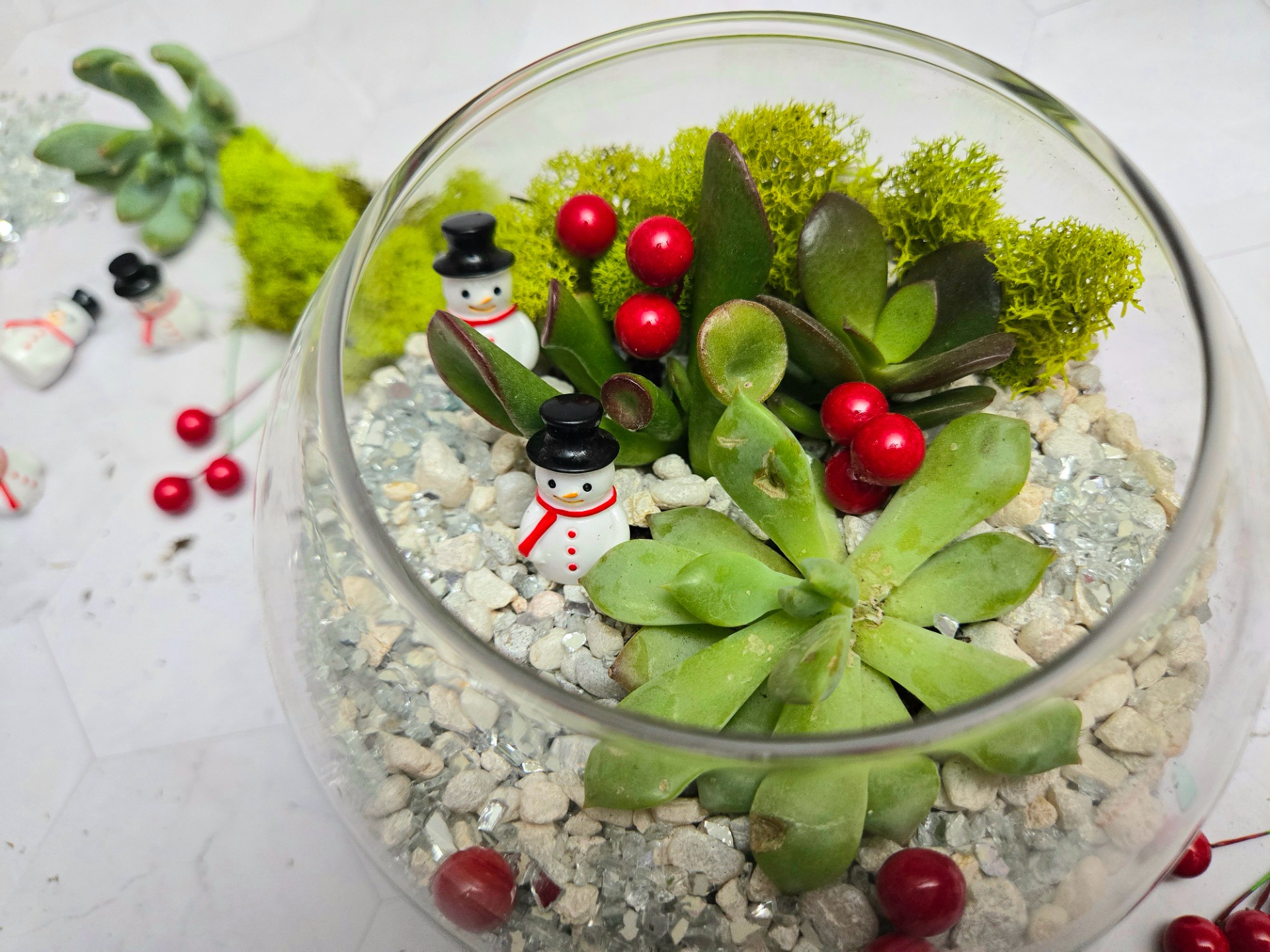 Piñon & Plants: Winter Terrarium Workshop (Rio Rancho)