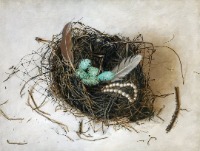 Raven's Nest