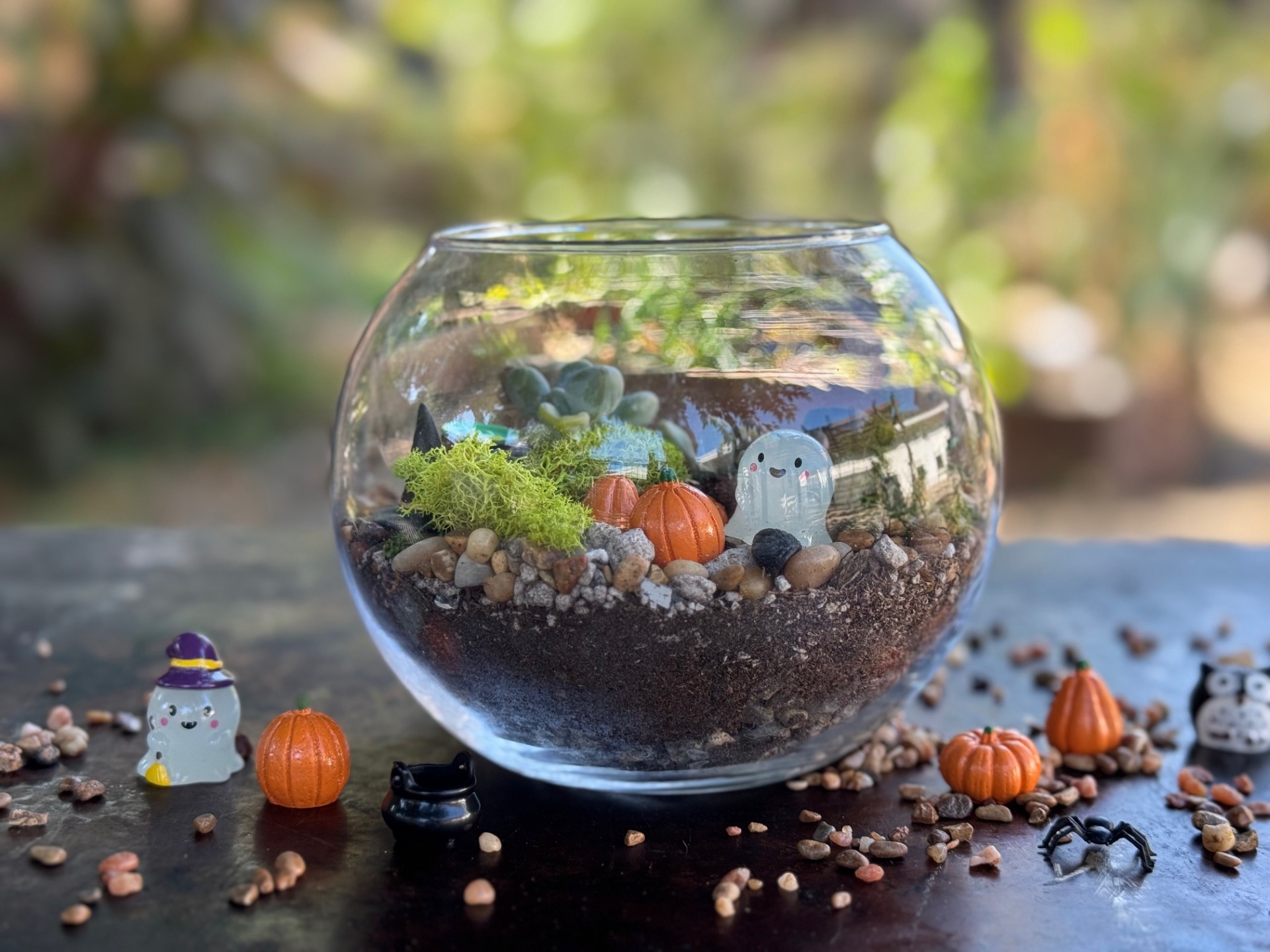 Make Your Own Spooky Terrarium