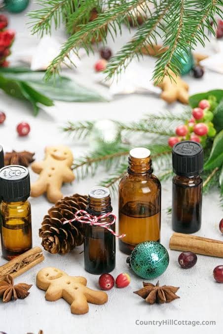 Essential Oils for the Holidays, Christmas and Winter