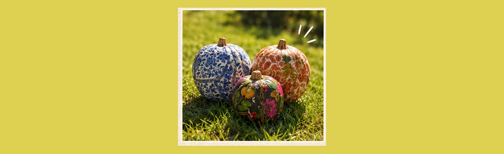 Make Decorative Pumpkins Workshop at Palmer Place