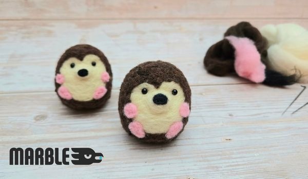 Make Your Own Hedgehogs