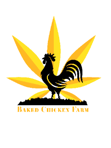 Baked Chicken Farm