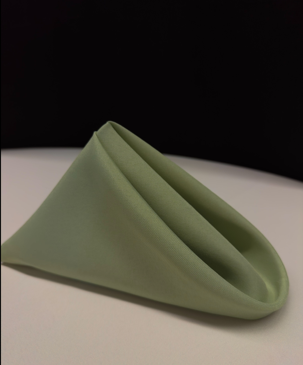 Napkin CELADON A POLY 20"