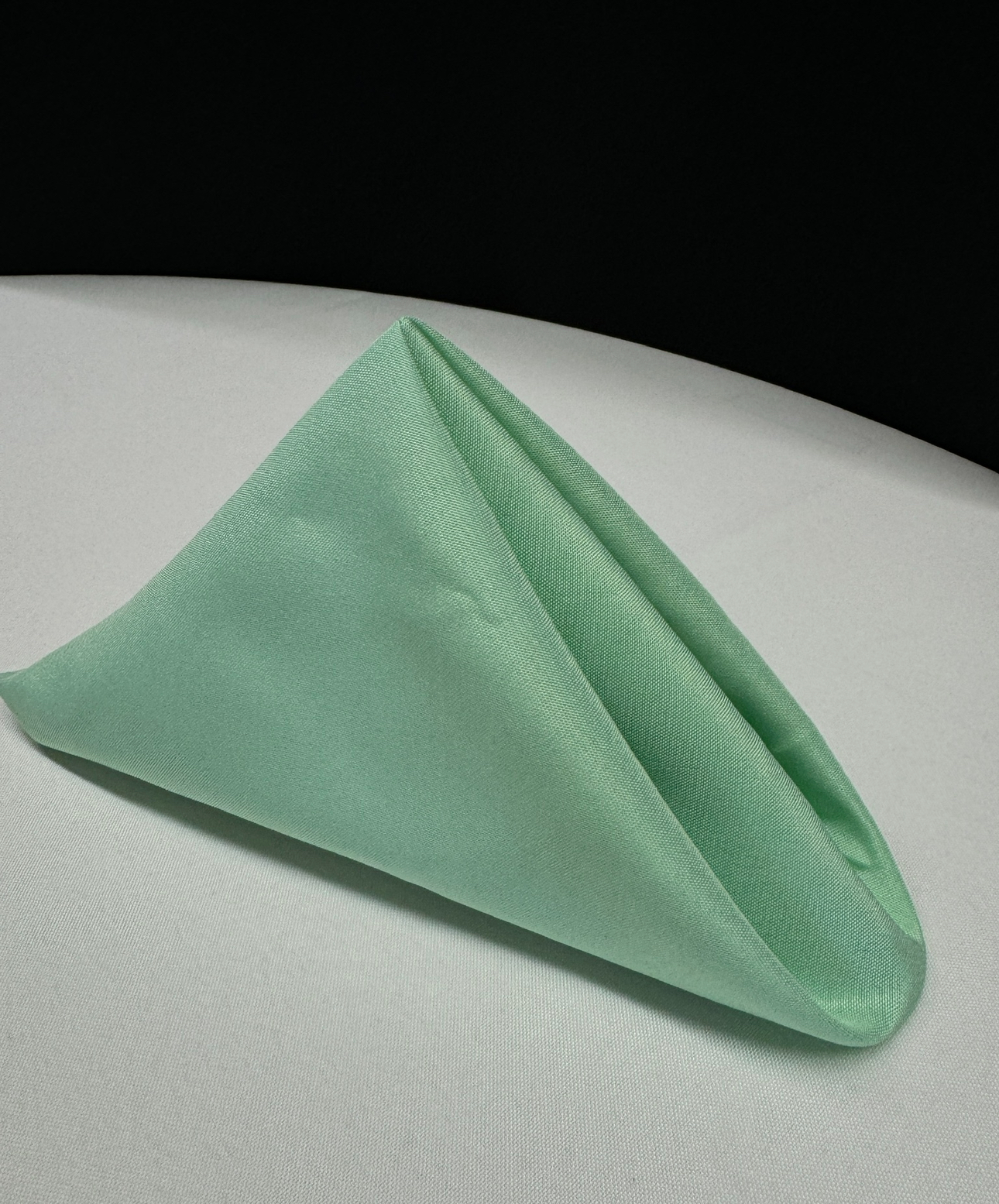 Napkin HEMLOCK GREEN L POLY 20"