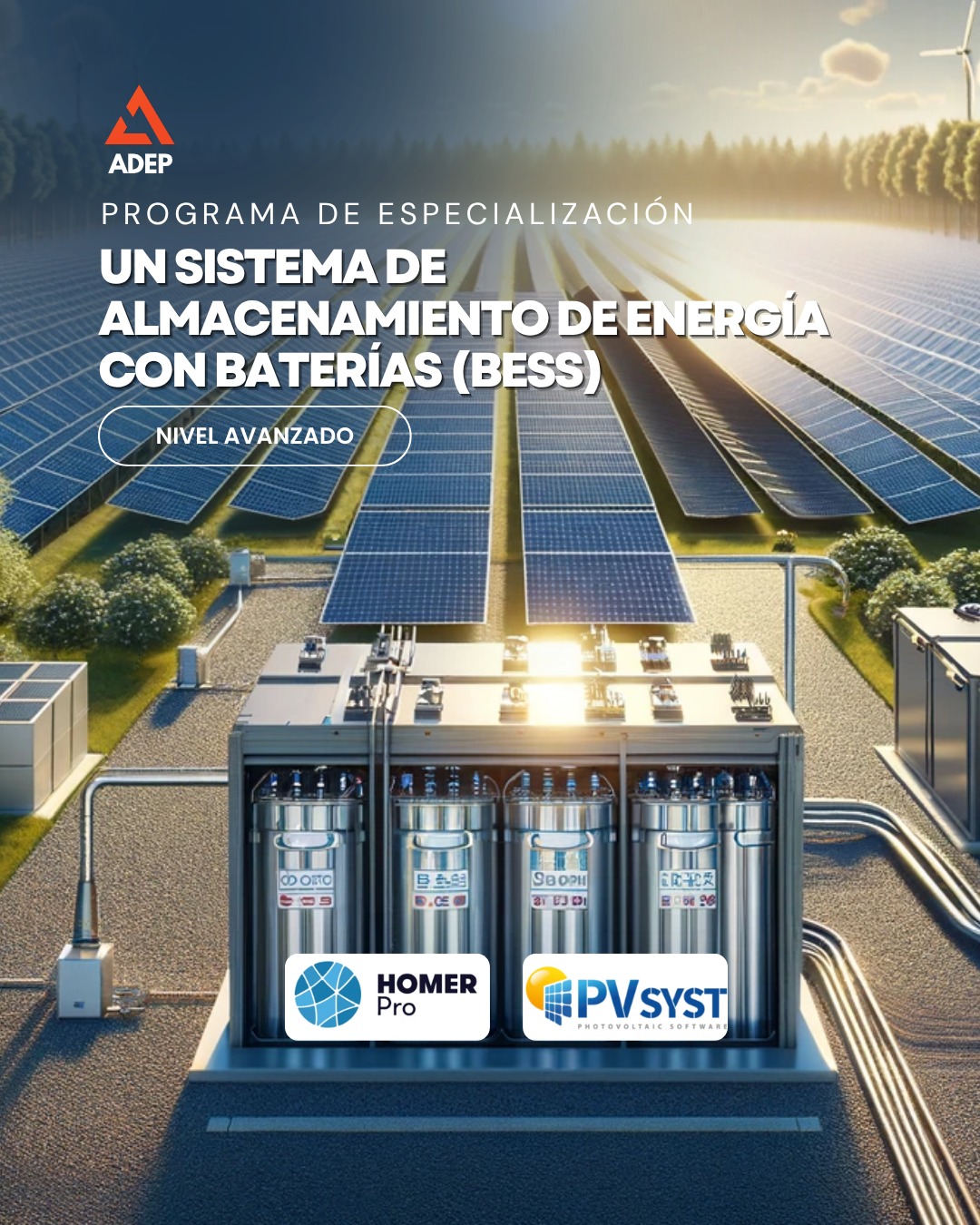 Acerca del programa