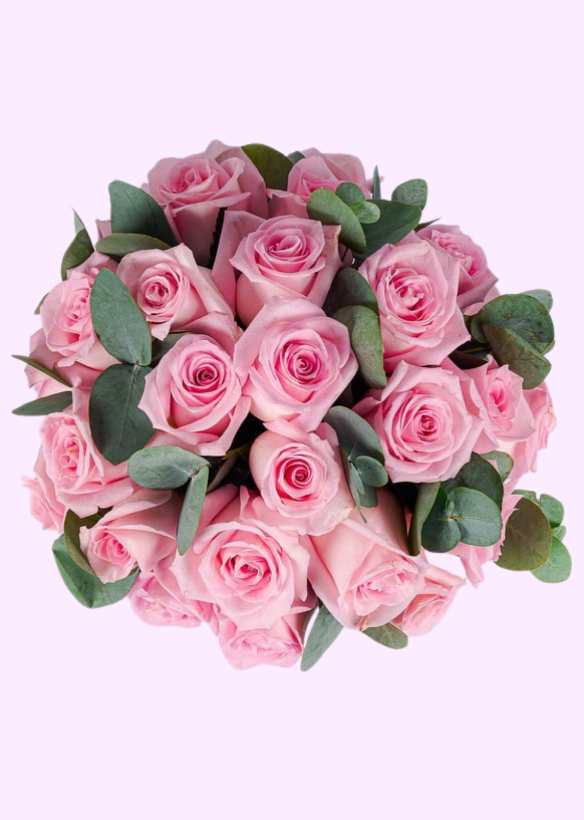 Vista previa de Caja con 24 Rosas Rositas - imagen 2