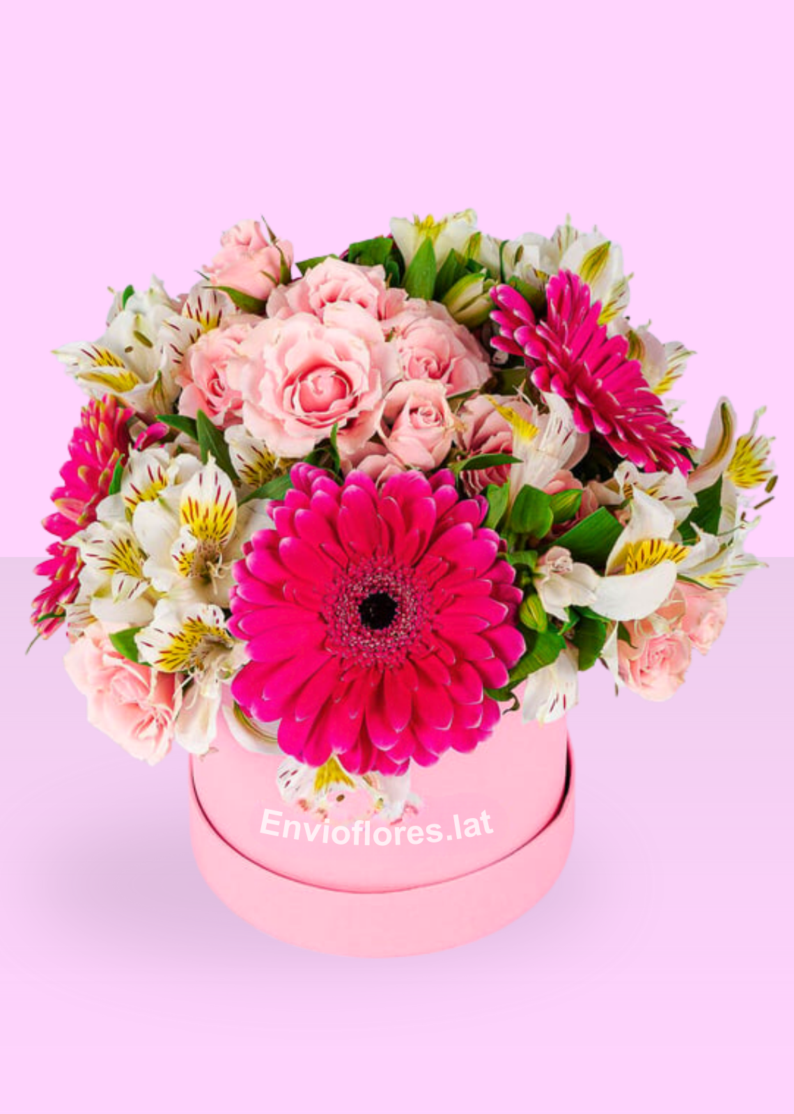 Caja con Gerberas, Rosas Rositas y Astromelias - entrega de flores, ramo de flores, flores a domicilio