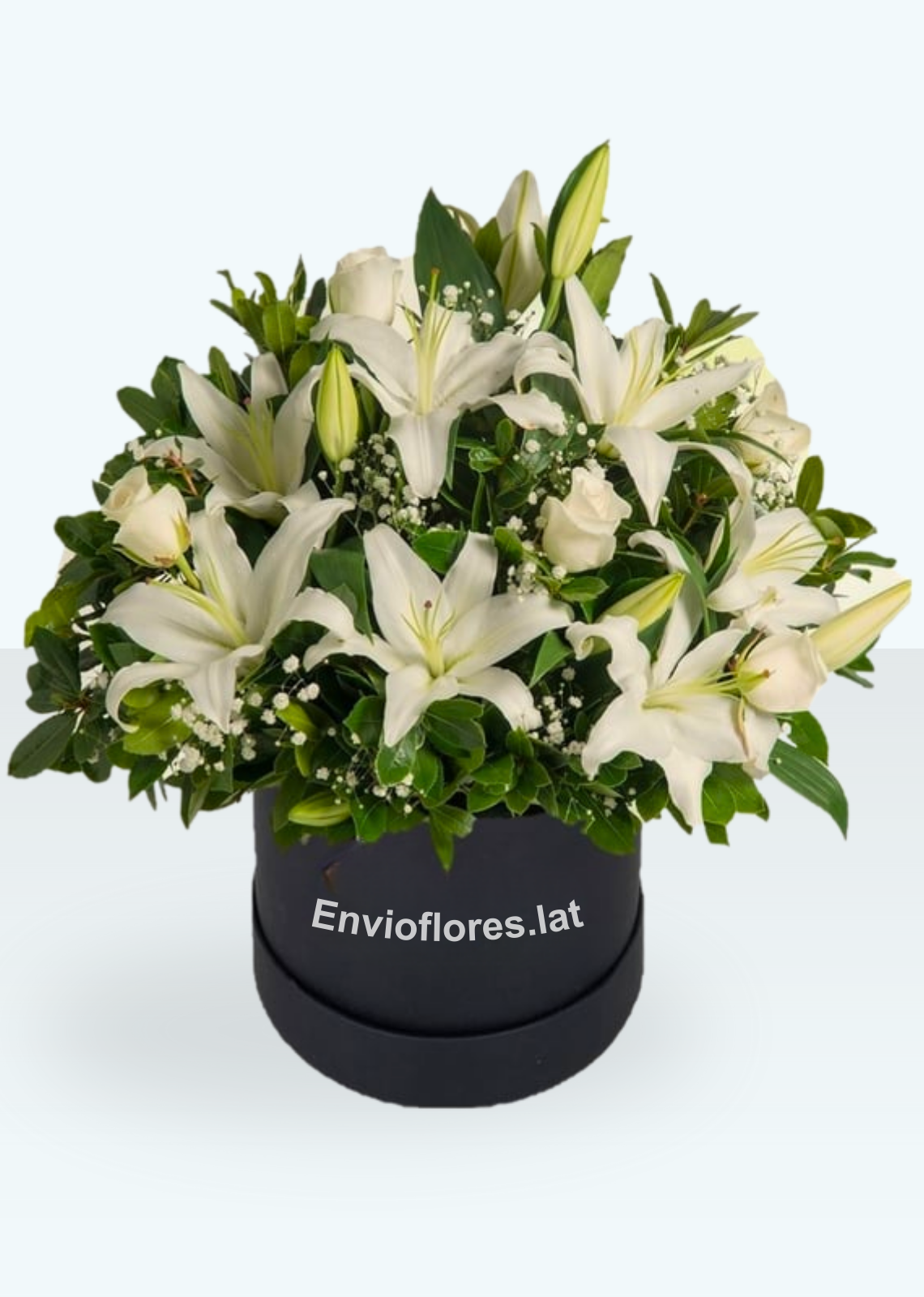 Caja de Flores Blancas Armonía - entrega de flores, ramo de flores, flores a domicilio