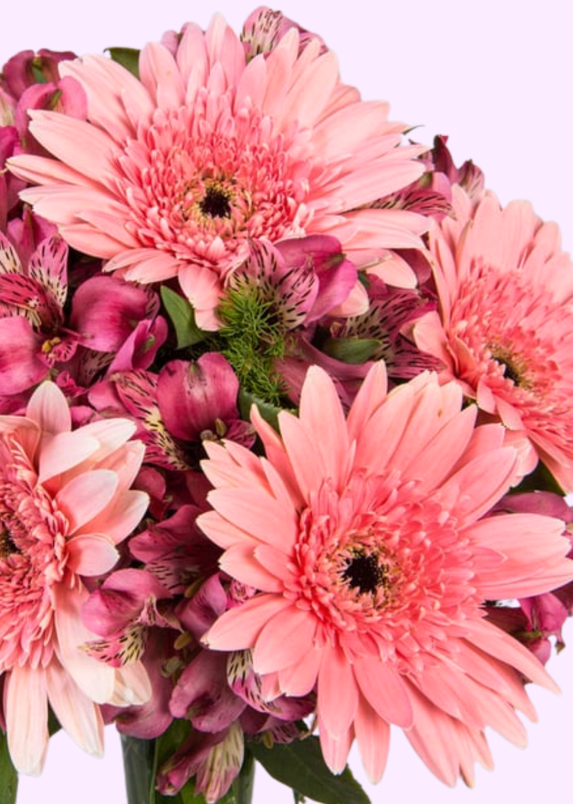 Vista previa de Gerberas y Astromelias rositas con Florero - imagen 2