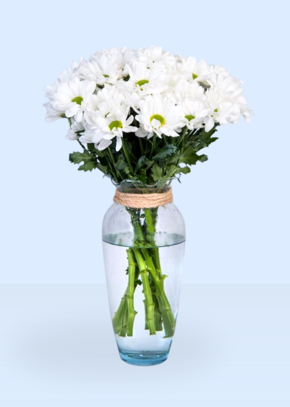 Jarrón con Margaritas Blancas Frescas - entrega de flores, ramo de flores, flores a domicilio